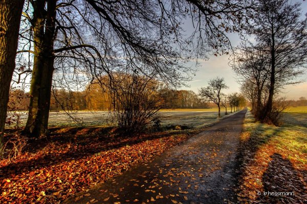 пейзаж поздней осени