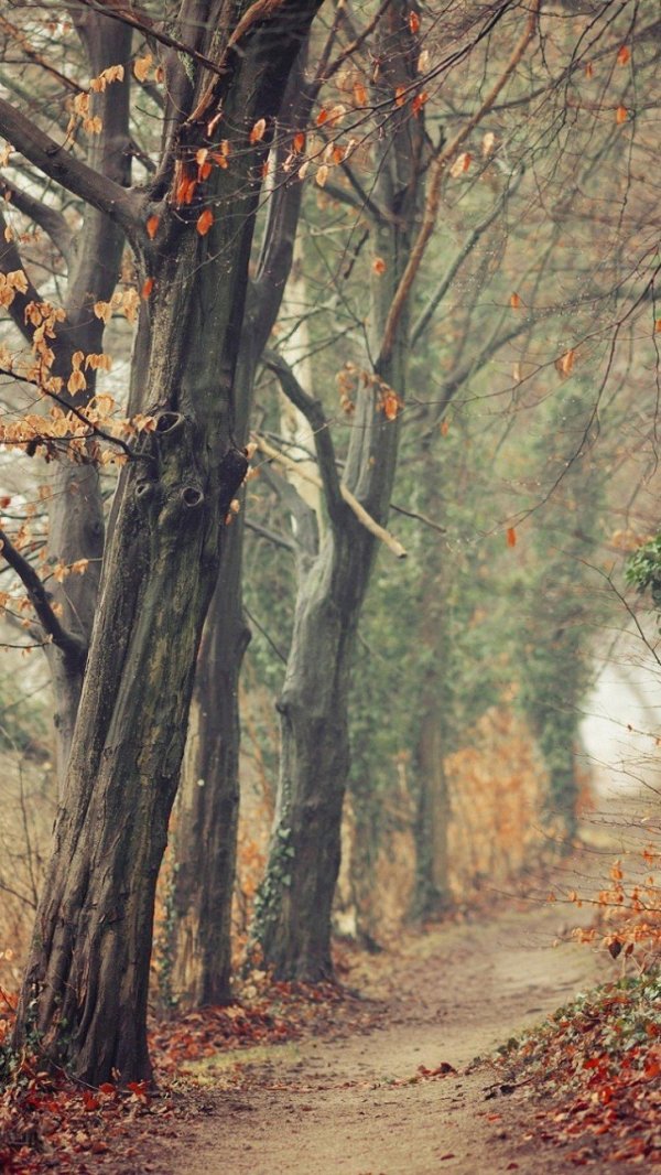 холодная осень