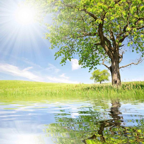 весенние пейзажи