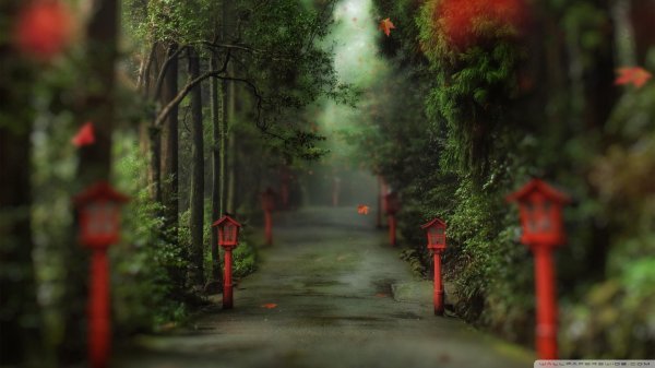 сказочная аллея