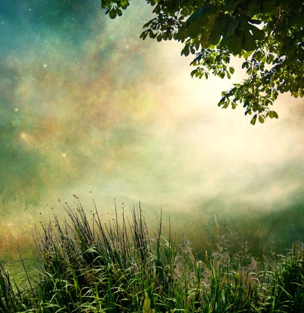 сказочные фоны