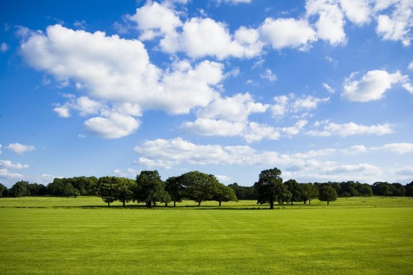 летнее небо