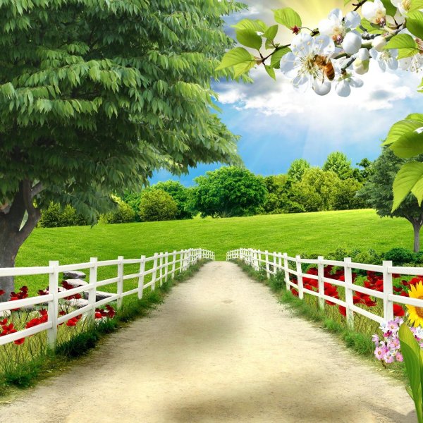 фон для фотошоп