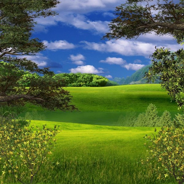 красивые фоны природа