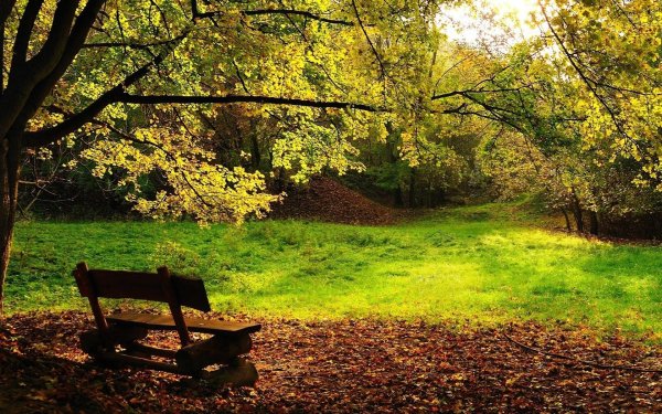 осень скамейка