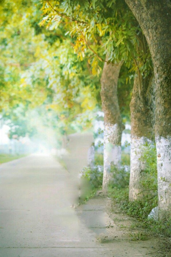 фон для портрета