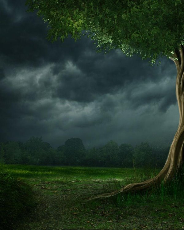 дерево фэнтези