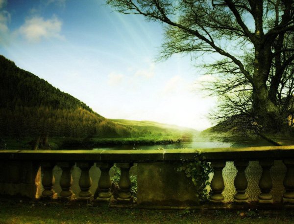 фотообои вид к озеру