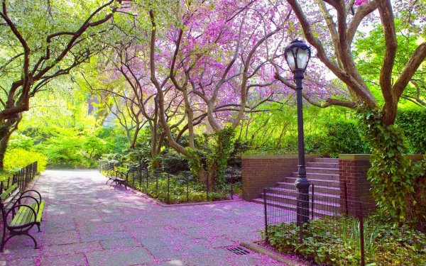 central park in spring