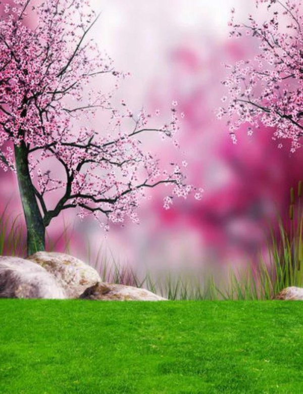 весна красота