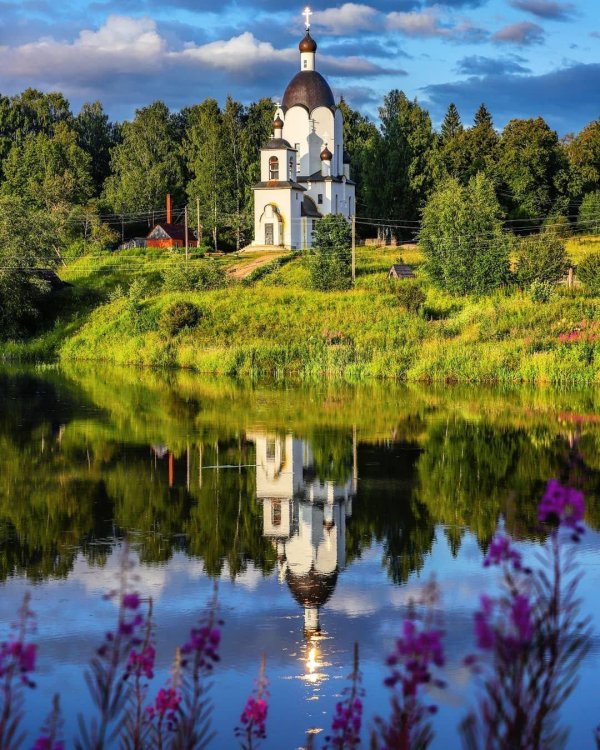 ельцы селижаровский район тверская область