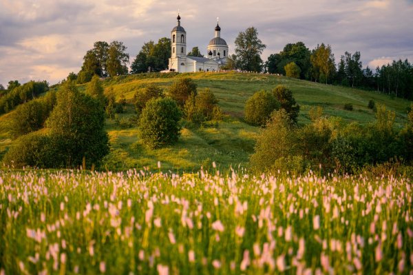 горицы суздальский район