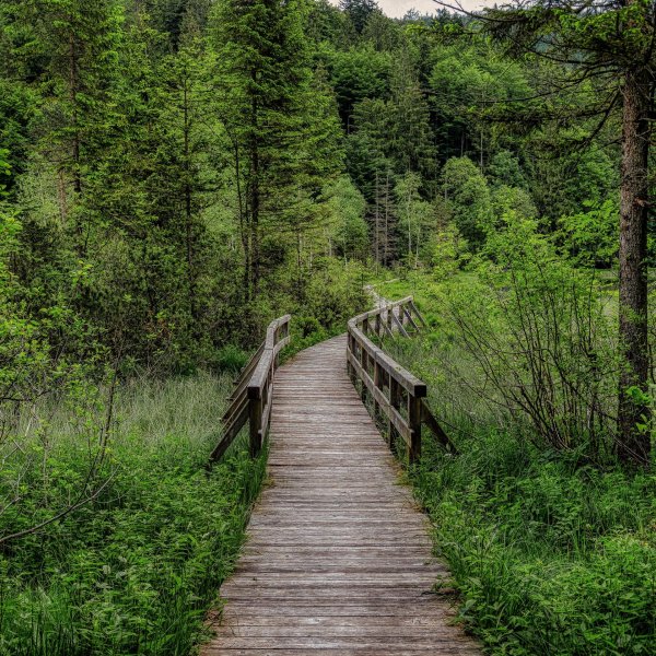 На самсунг природа