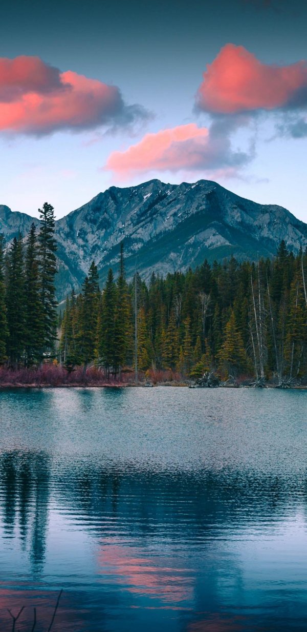 озеро маккей канада