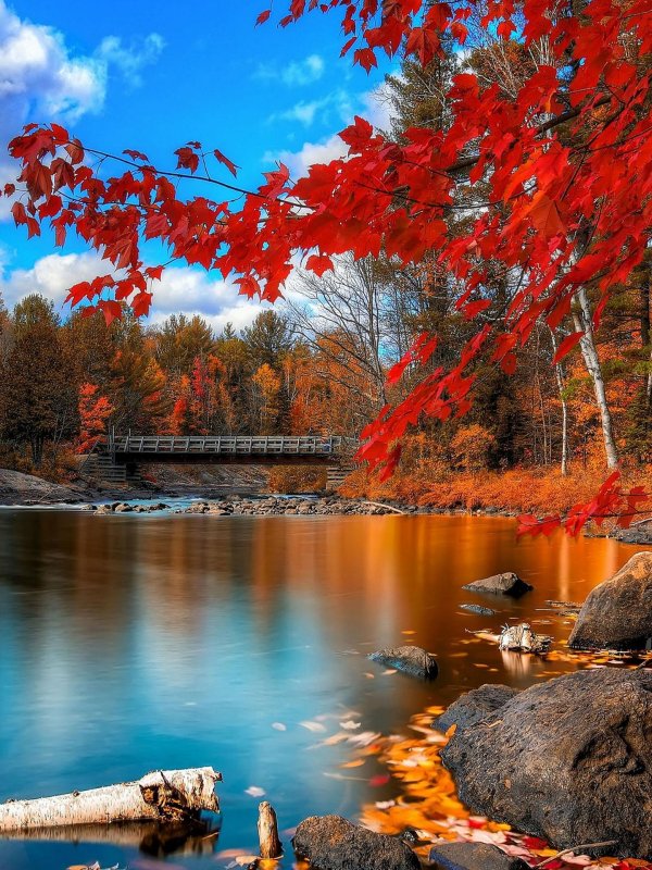 красивая осень