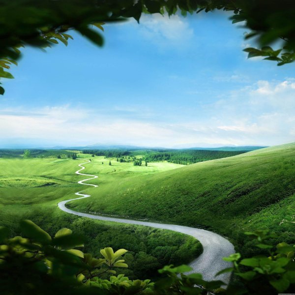 green hills зеленые холмы
