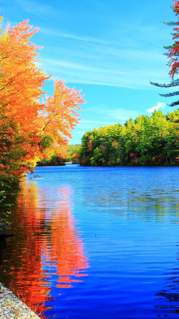 осенние краски природы