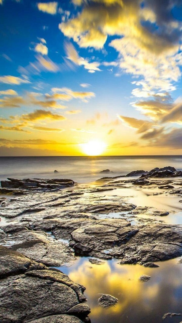 фотообои телефон