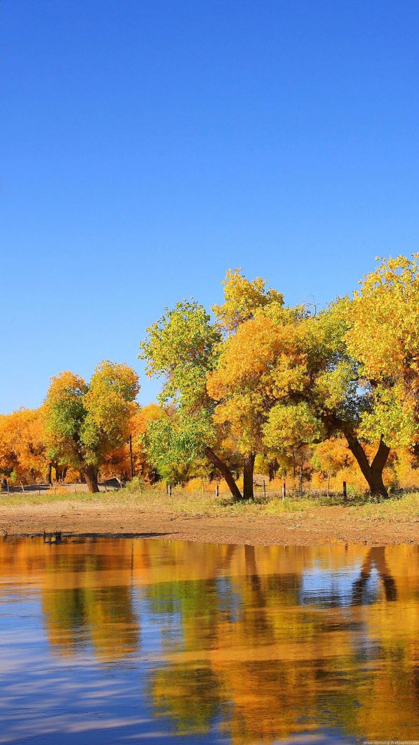 осень на экран блокировки
