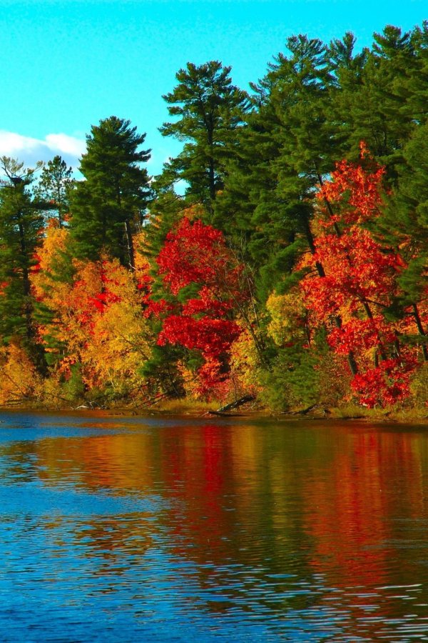 осенние пейзажи