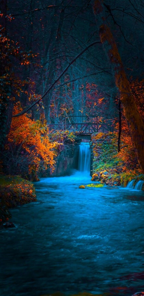 живописные пейзажи