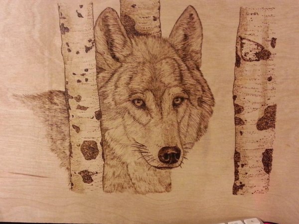 волк для выжигания