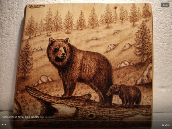 медведь пирография