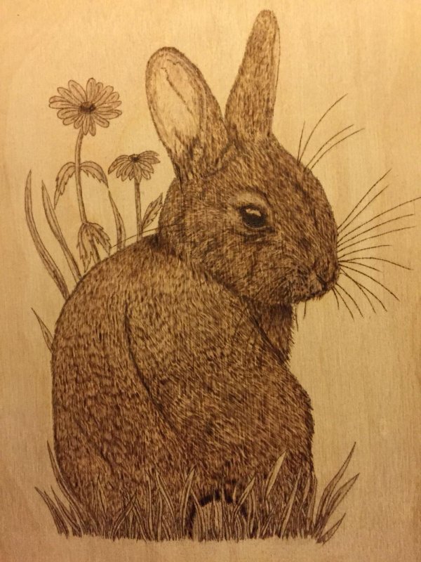 заяц для выжигания