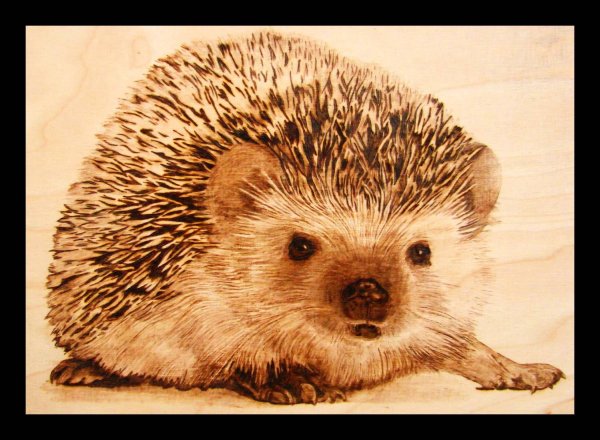 ëжик рисунок