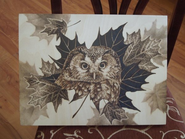 пирография по дереву сова