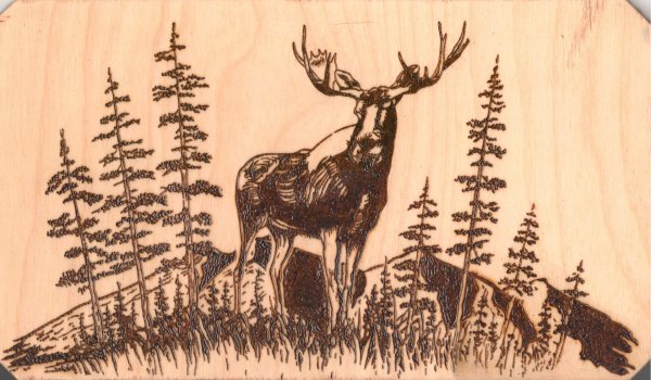 выжигание по дереву