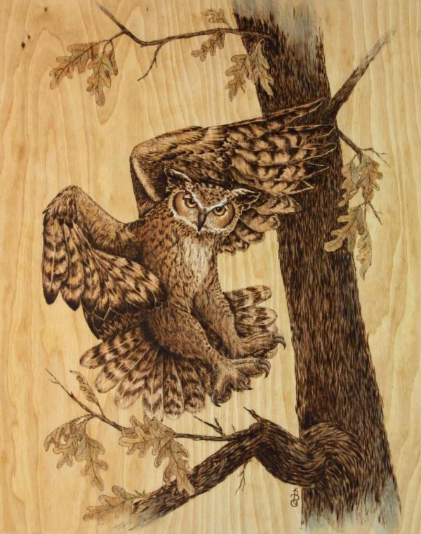 пирография по дереву сова