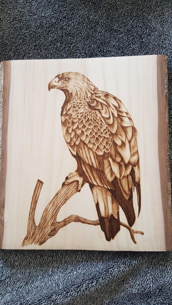 рисунки для выжигания на фанере