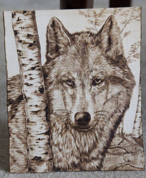 волк для выжигания