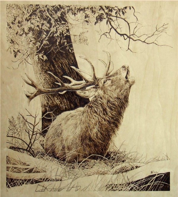 картины для выжигания