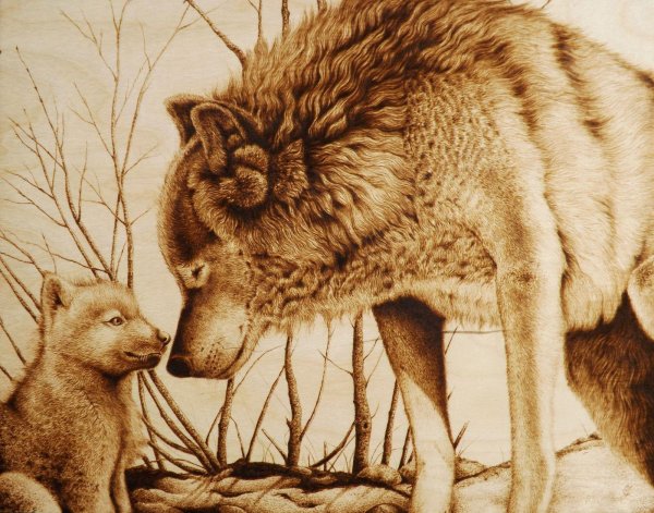 волк с волчицей и волченком