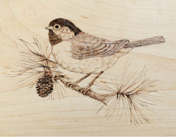 птицы для выжигания