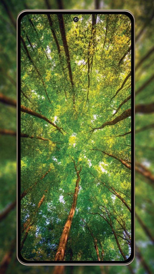 лес зеленый