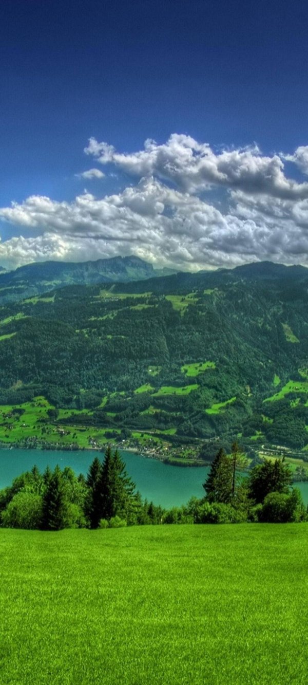 природа пейзаж