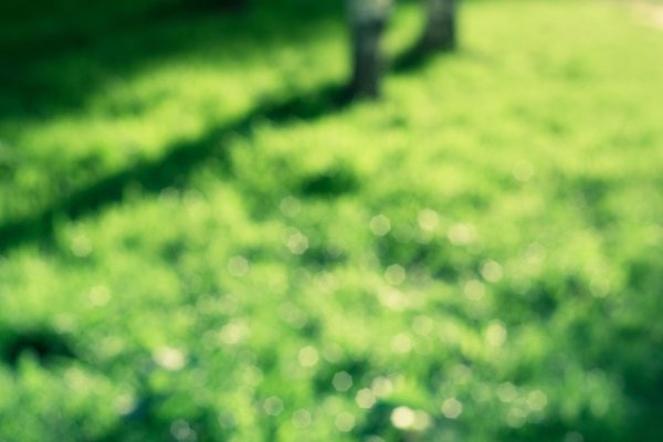 размытые фоны