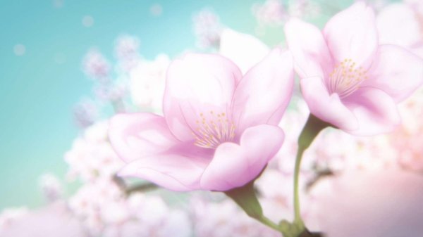 цветочные фоны