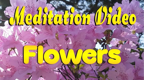 медитация для исцеления