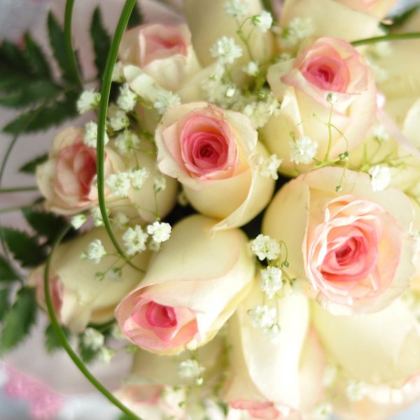 свадебная открытка