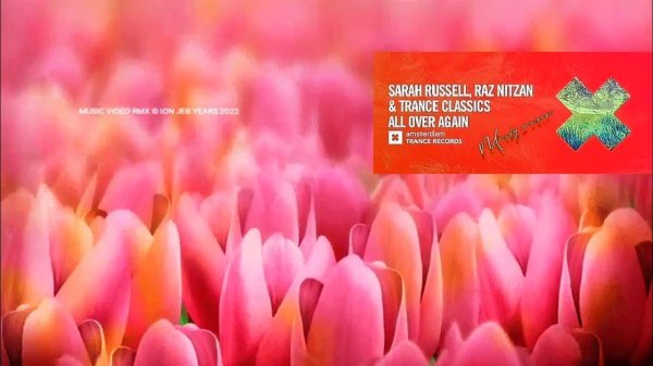 красивая цветок