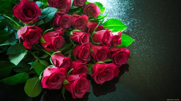 букет роз открытка