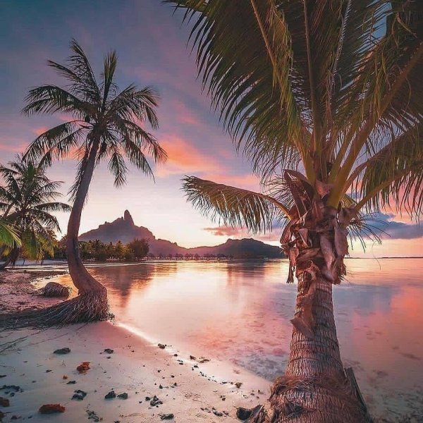 экзотические пейзажи