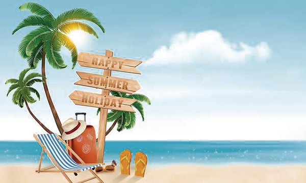 пальма шезлонг