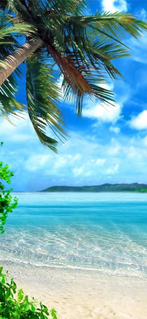 лето природа