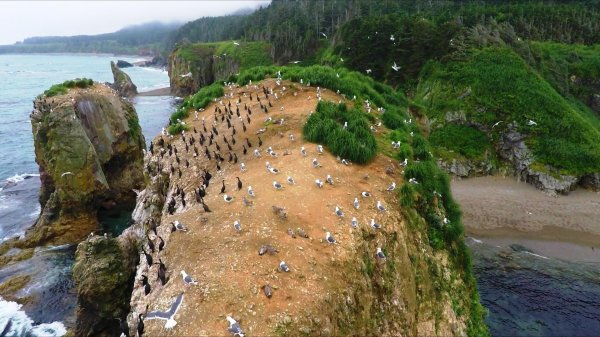 поронайский заповедник