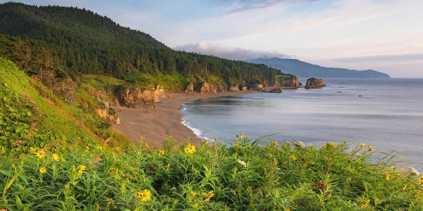 сахалинская область природа